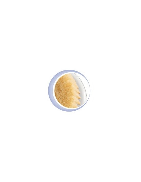 CHICCO Baby Brush & Comb Σετ βούρτσα - Xτένα από Φυσική Τρίχα ΣΙΕΛ, 1 τεμάχιο